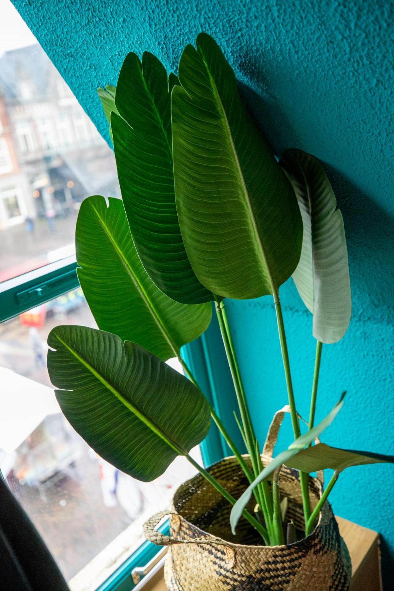 Bambu Sleep Boutique Hotel Haarlem Phòng bức ảnh